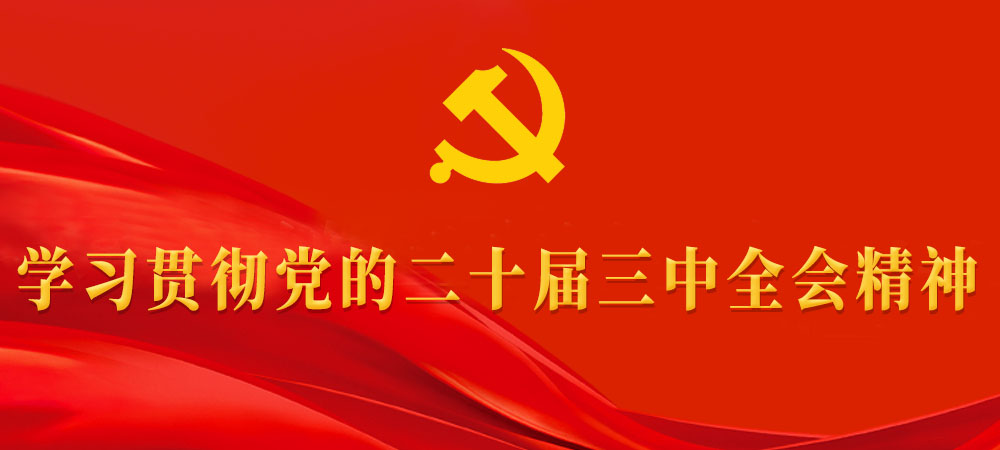 學習貫徹黨的二十屆三中全會精神